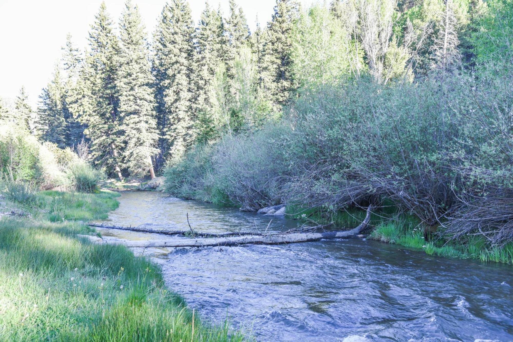 River Lyric Lodge - Formerly Double Dog Red River Εξωτερικό φωτογραφία
