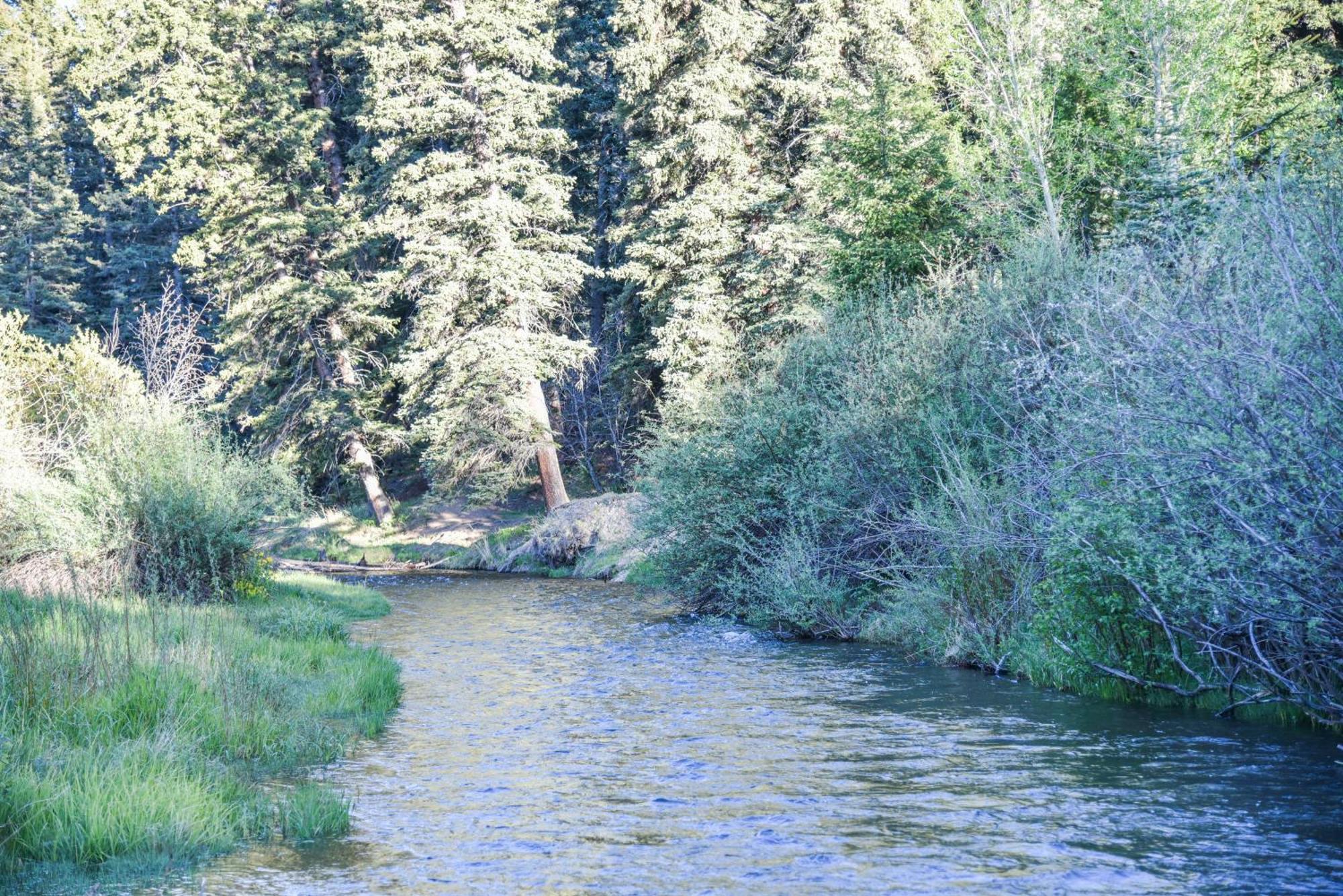 River Lyric Lodge - Formerly Double Dog Red River Εξωτερικό φωτογραφία